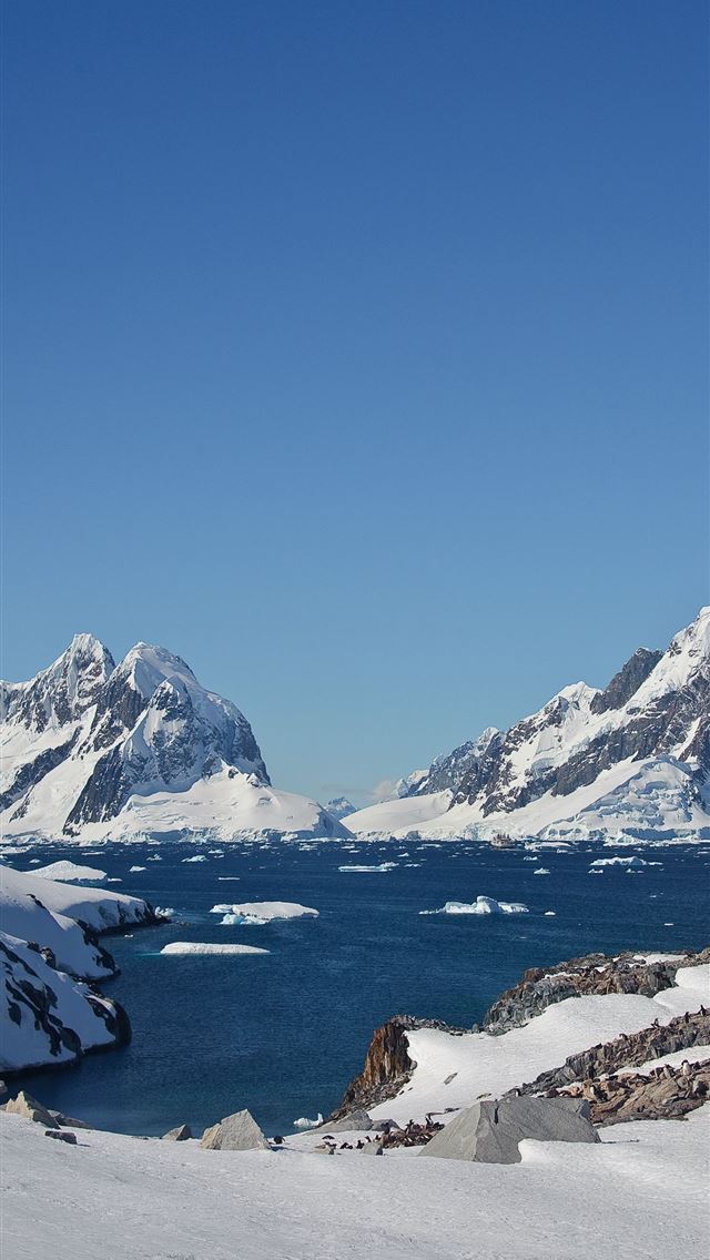 1284x2778 mountains snow ice landscape antarctica north pole... - antarctica iPhone Wallpaper