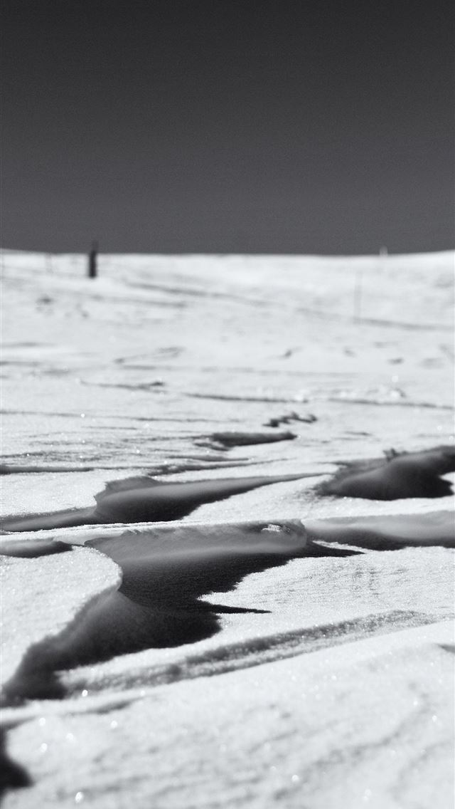1284x2778 Antarctica - antarctica iPhone Wallpaper