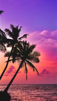 sunset beach wallpaper