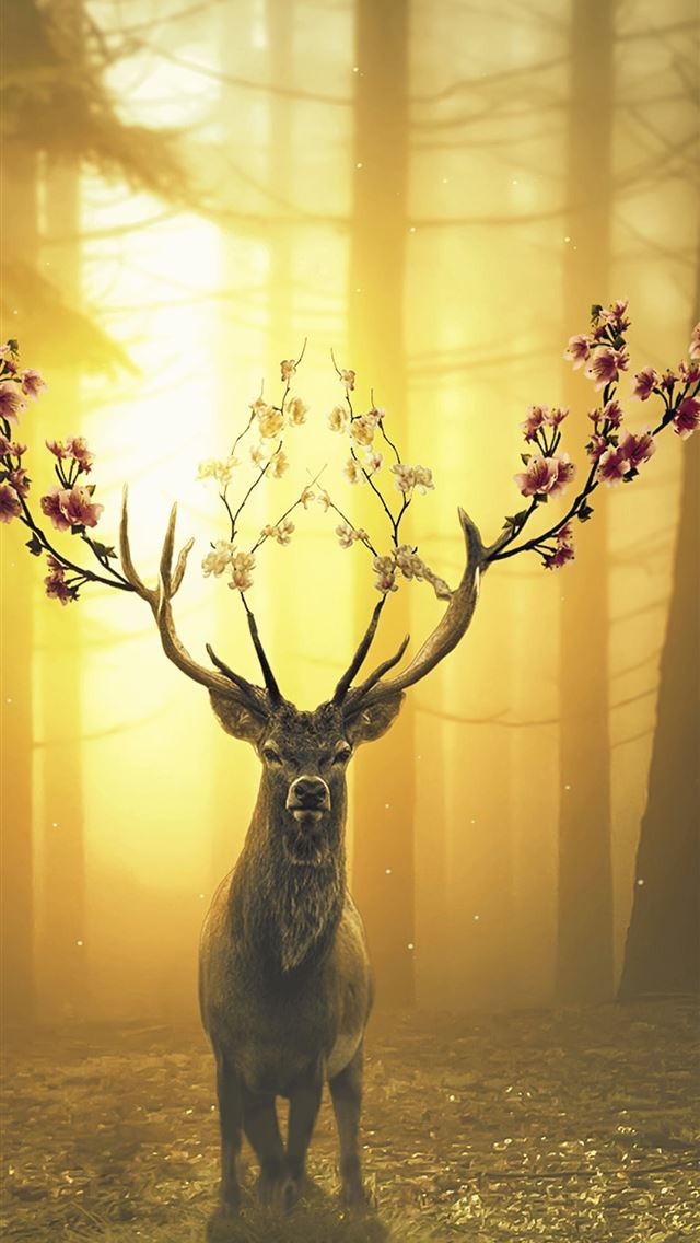 1125x2436 deer - deer iPhone Wallpaper