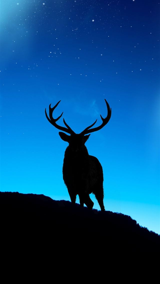 1284x2778 deer - deer iPhone Wallpaper