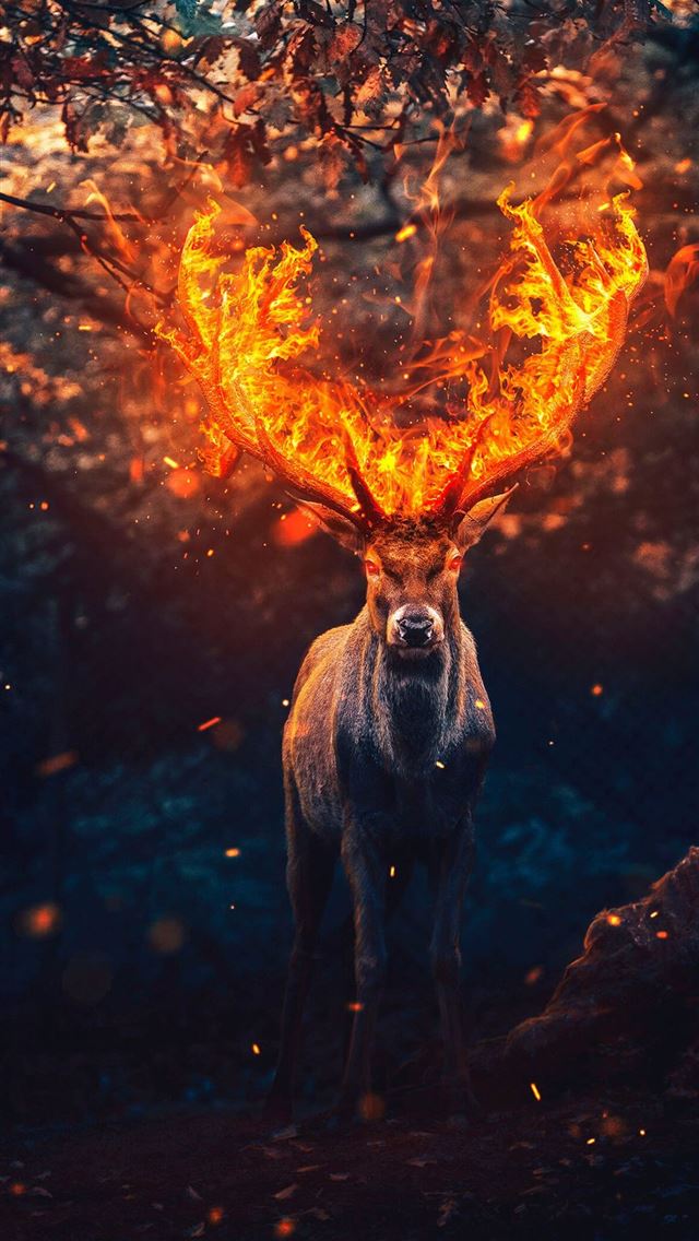 1125x2436 deer - deer iPhone Wallpaper