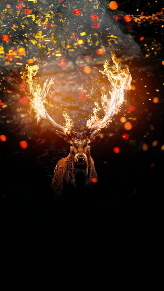 1284x2778 deer - deer iPhone Wallpaper