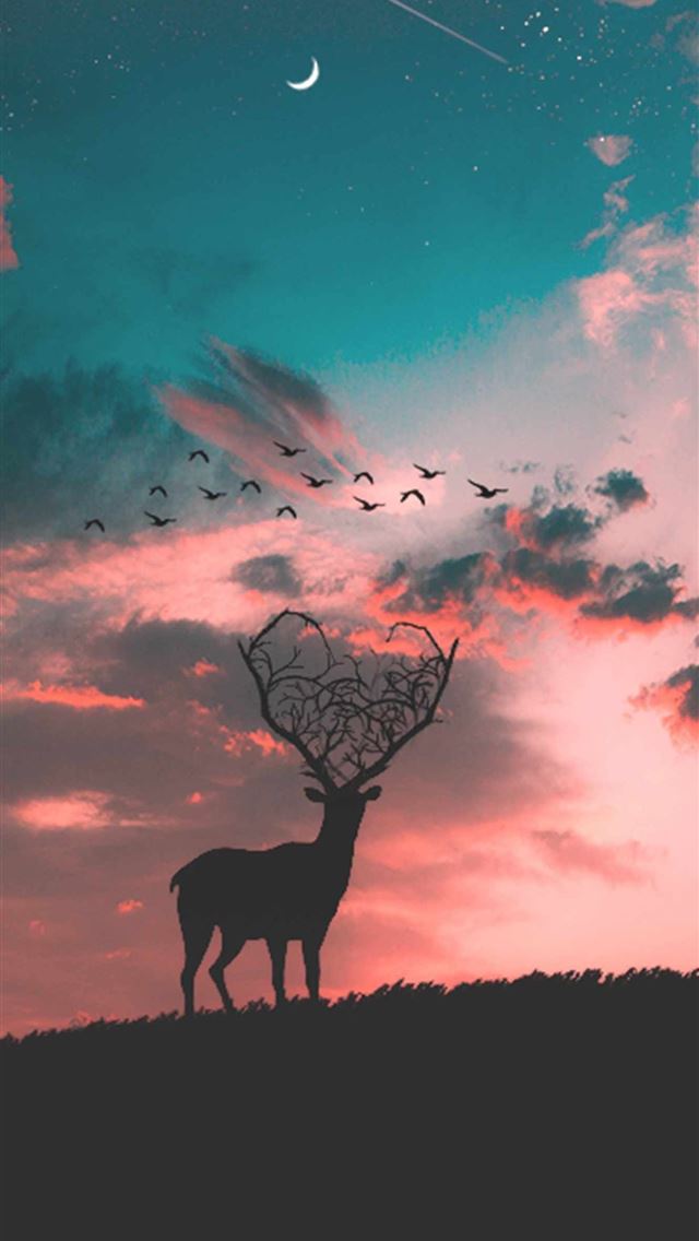1284x2778 deer - deer iPhone Wallpaper