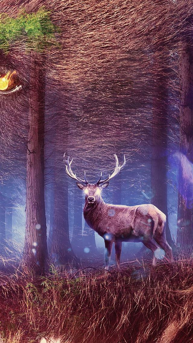 1284x2778 deer - deer iPhone Wallpaper
