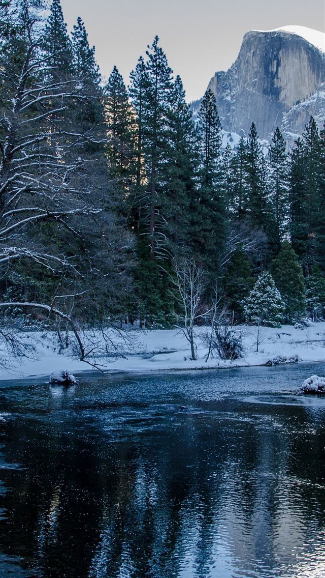 1284x2778 yosemite national park - yosemite national park iPhone Wallpaper