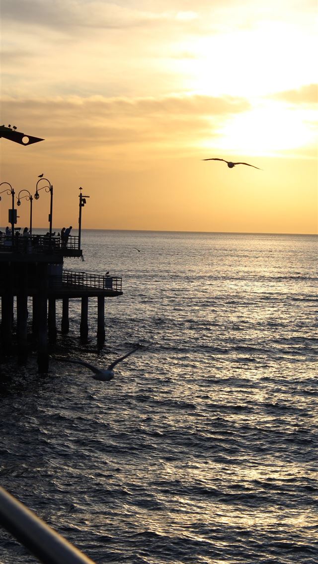 1284x2778 santa monica pier - santa monica pier iPhone Wallpaper