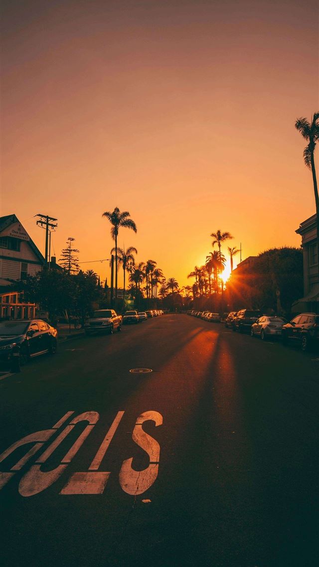 1284x2778 santa monica pier - santa monica pier iPhone Wallpaper