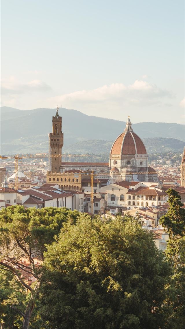1284x2778 florence - florence iPhone Wallpaper