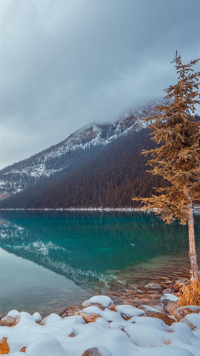 1284x2778 canada - canada iPhone Wallpaper