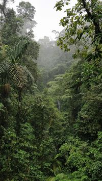 costa rica wallpaper