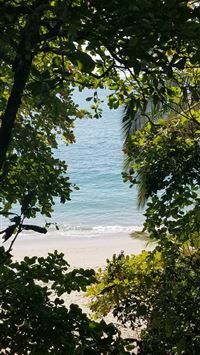 costa rica wallpaper