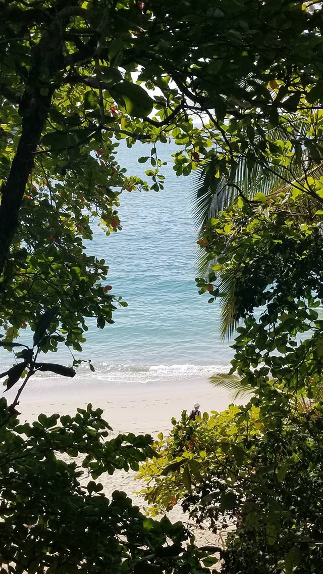 1284x2778 costa rica - costa rica iPhone Wallpaper