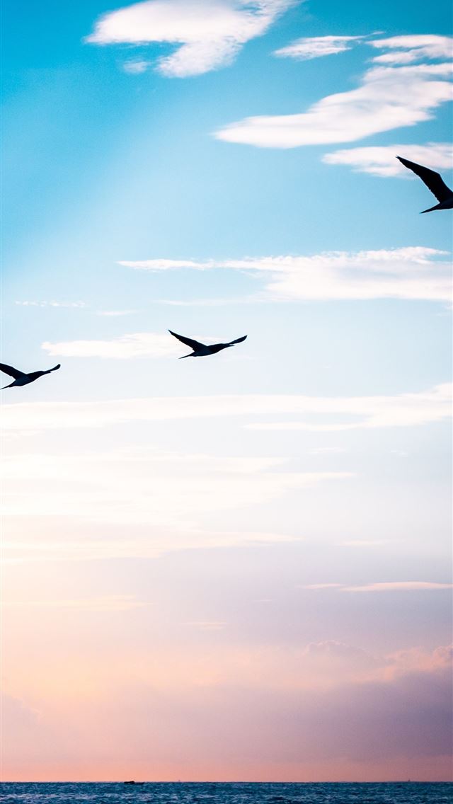 1284x2778 costa rica - costa rica iPhone Wallpaper