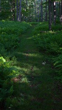 inca trail wallpaper