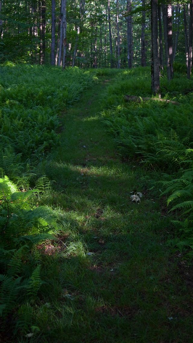 1284x2778 inca trail - inca trail iPhone Wallpaper