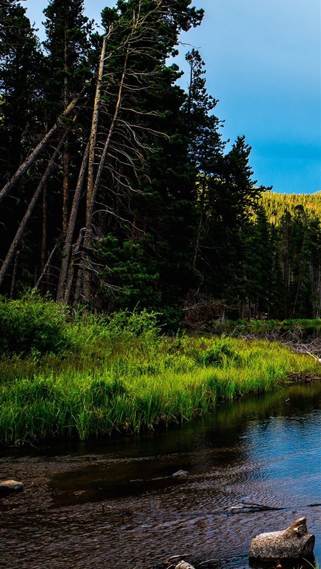 1284x2778 rocky mountain national park hd - rocky mountain national park hd iPhone Wallpaper