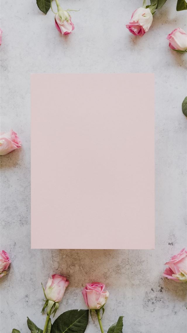 1284x2778 roses - roses iPhone Wallpaper