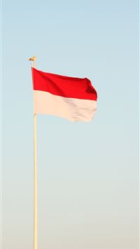 indonesia flag wallpaper
