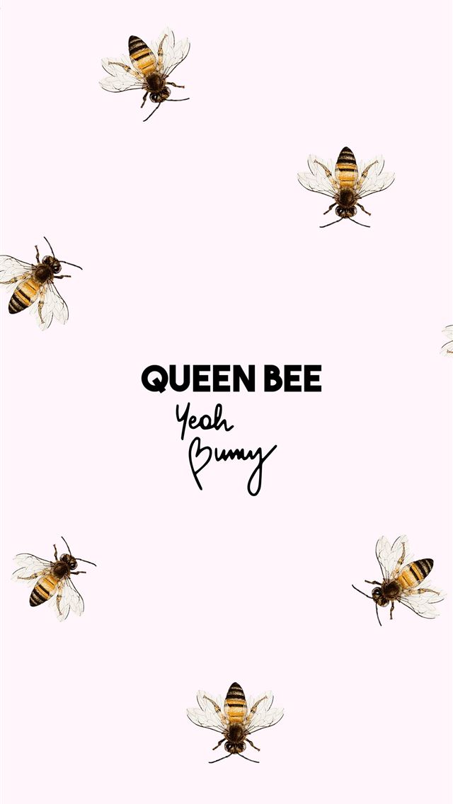 1284x2778 honey bee - honey bee iPhone Wallpaper