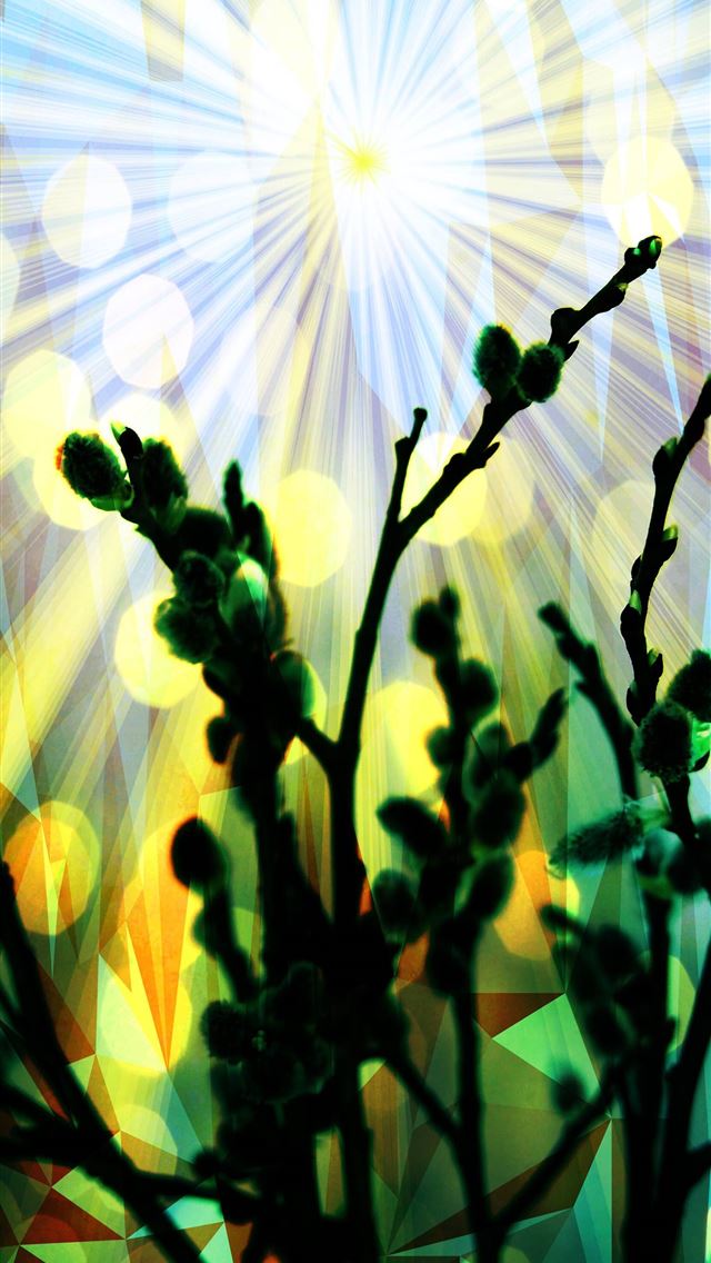1284x2778 palm sunday - palm sunday iPhone Wallpaper