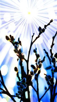 palm sunday wallpaper