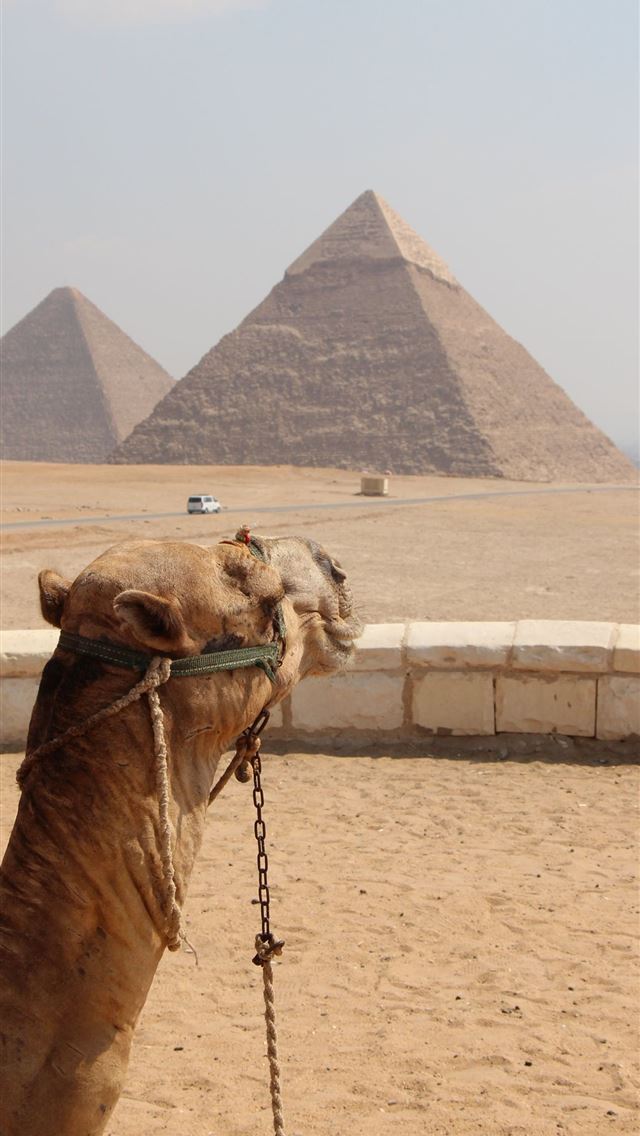 1284x2778 cairo - cairo iPhone Wallpaper