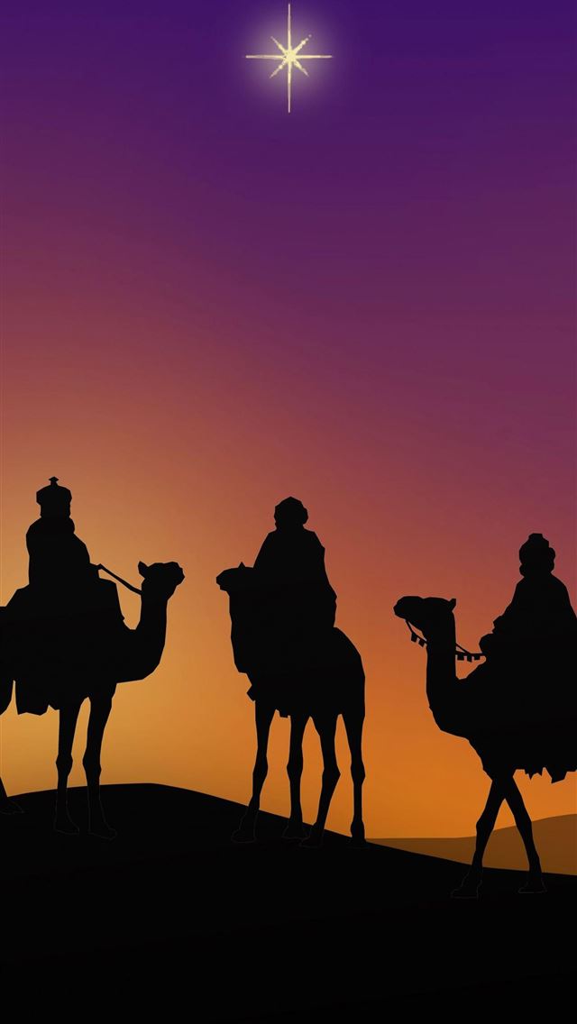 1284x2778 camel - camel iPhone Wallpaper