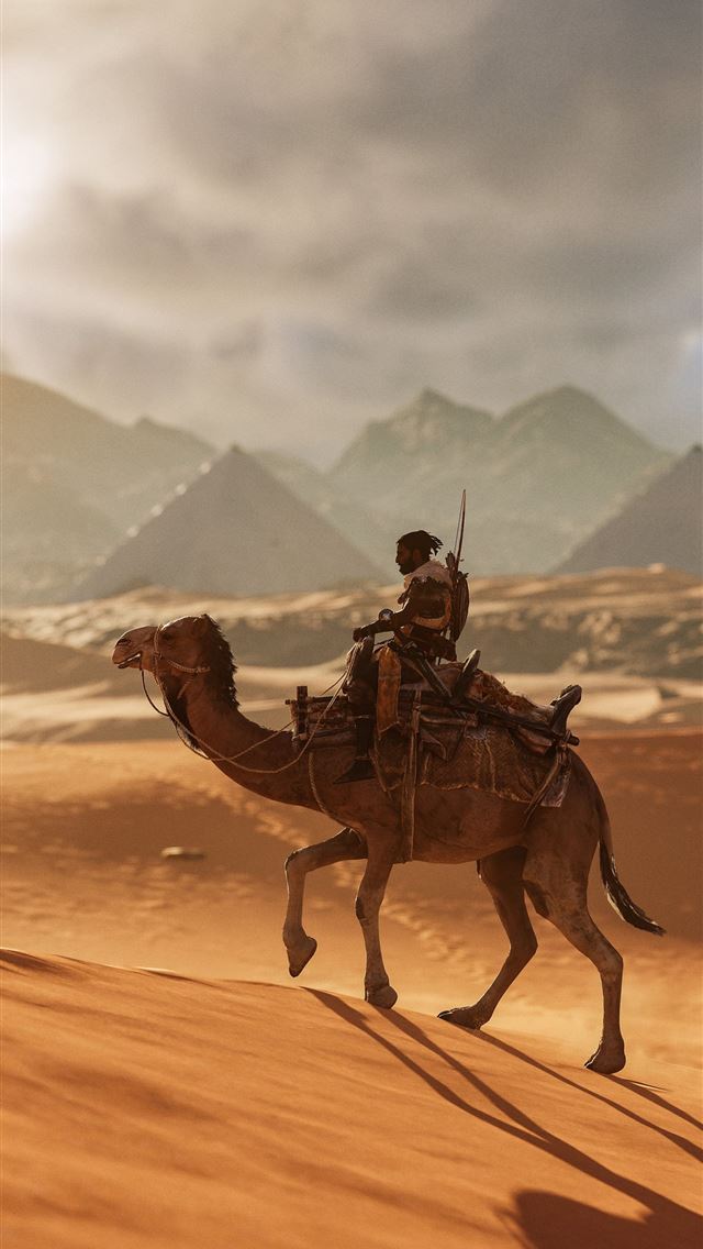1284x2778 camel - camel iPhone Wallpaper