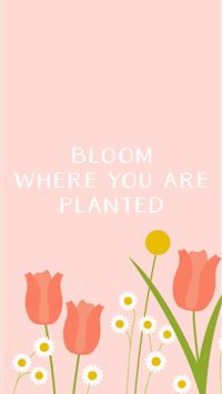 fc schalke 04 wallpaper