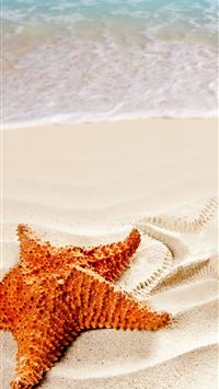 ibiza wallpaper