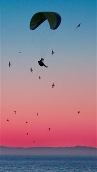 sporting cp wallpaper