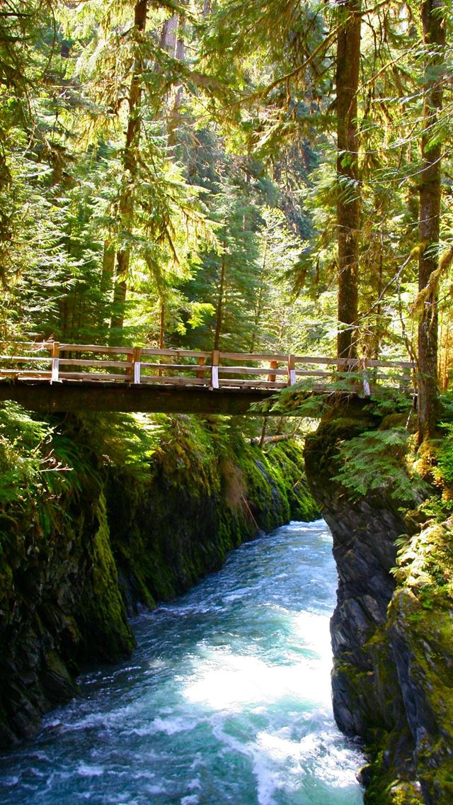 1284x2778 olympic national park - olympic national park iPhone Wallpaper