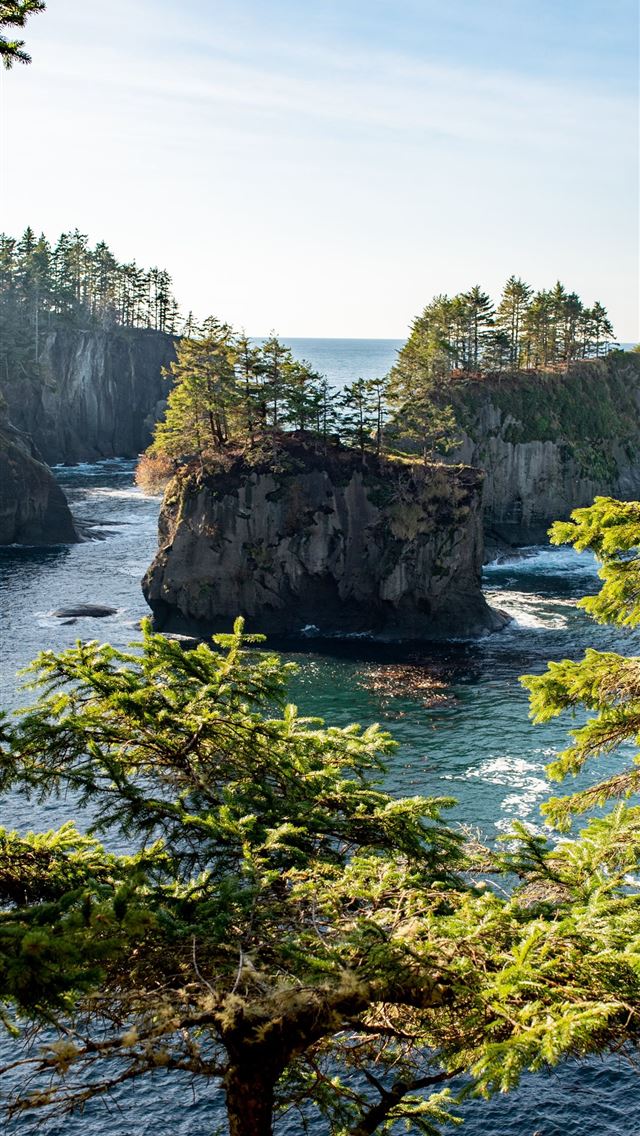 1284x2778 olympic national park - olympic national park iPhone Wallpaper