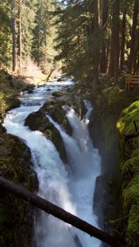 olympic national park wallpaper