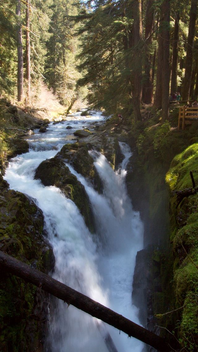 1284x2778 olympic national park - olympic national park iPhone Wallpaper