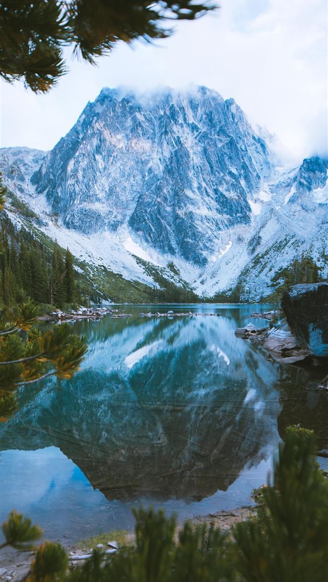 1284x2778 washington state - washington state iPhone Wallpaper