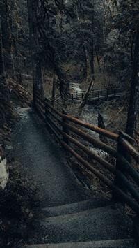 washington state wallpaper