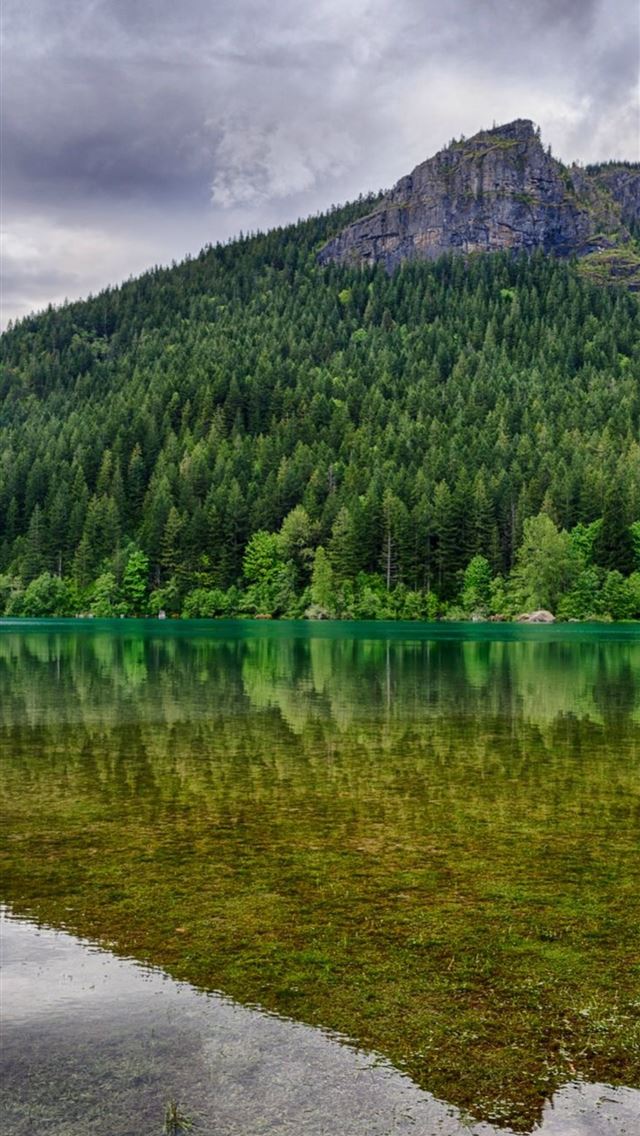 1284x2778 washington state - washington state iPhone Wallpaper