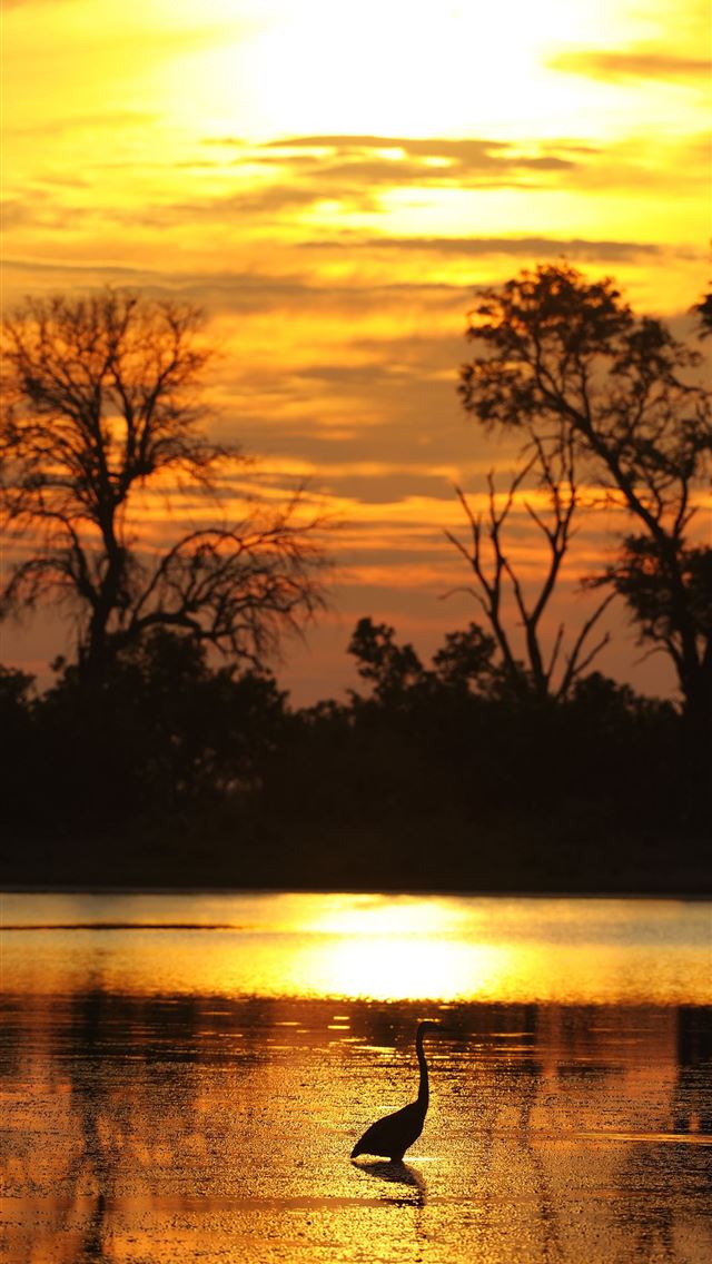 1284x2778 botswana - botswana iPhone Wallpaper