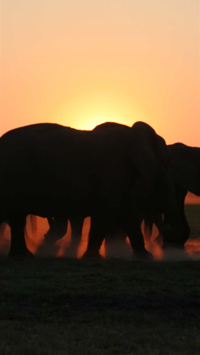 1284x2778 botswana - botswana iPhone Wallpaper
