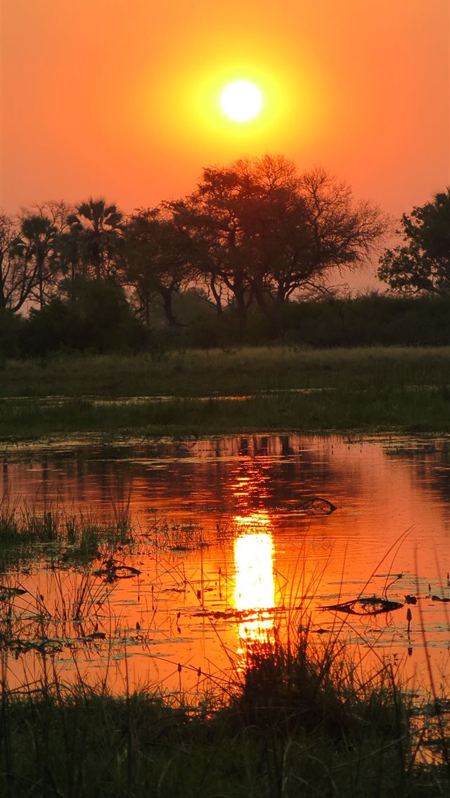 1284x2778 botswana - botswana iPhone Wallpaper