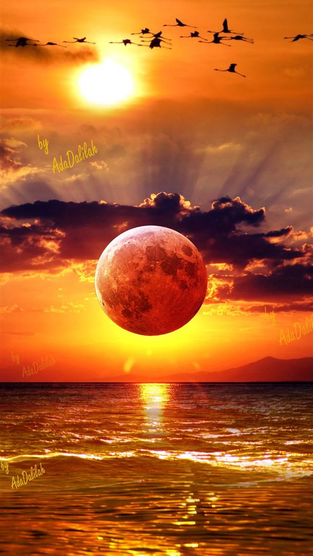1284x2778 botswana - botswana iPhone Wallpaper