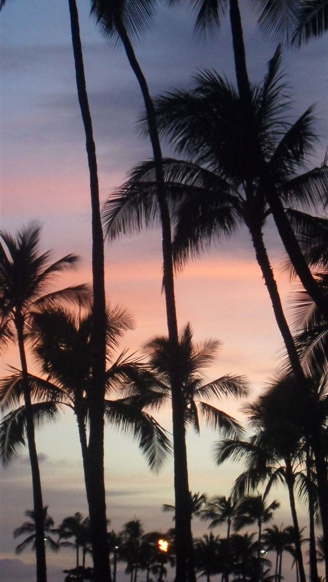 1284x2778 hawaii - hawaii iPhone Wallpaper