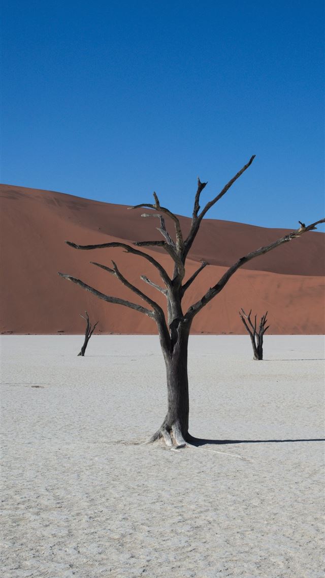 1284x2778 namibia - namibia iPhone Wallpaper