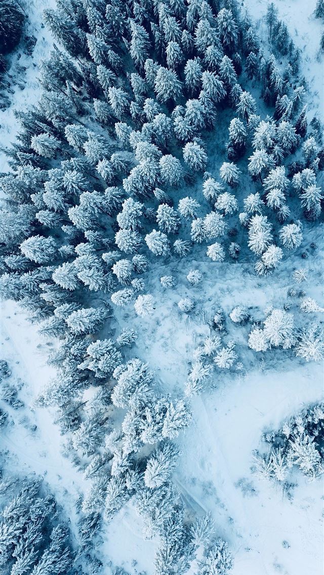 1284x2778 bulgaria - bulgaria iPhone Wallpaper