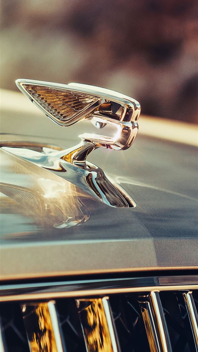1284x2778 bentley logo - bentley logo iPhone Wallpaper