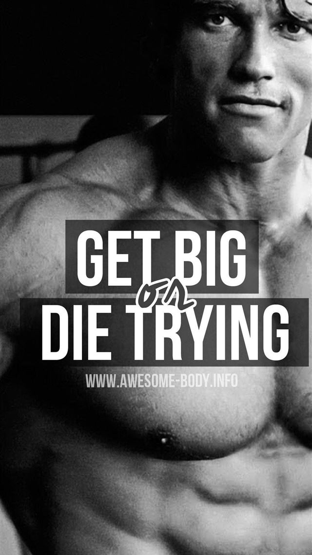 1125x2436 arnold schwarzenegger - arnold schwarzenegger iPhone Wallpaper
