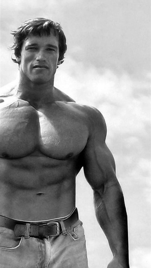 1284x2778 arnold schwarzenegger - arnold schwarzenegger iPhone Wallpaper