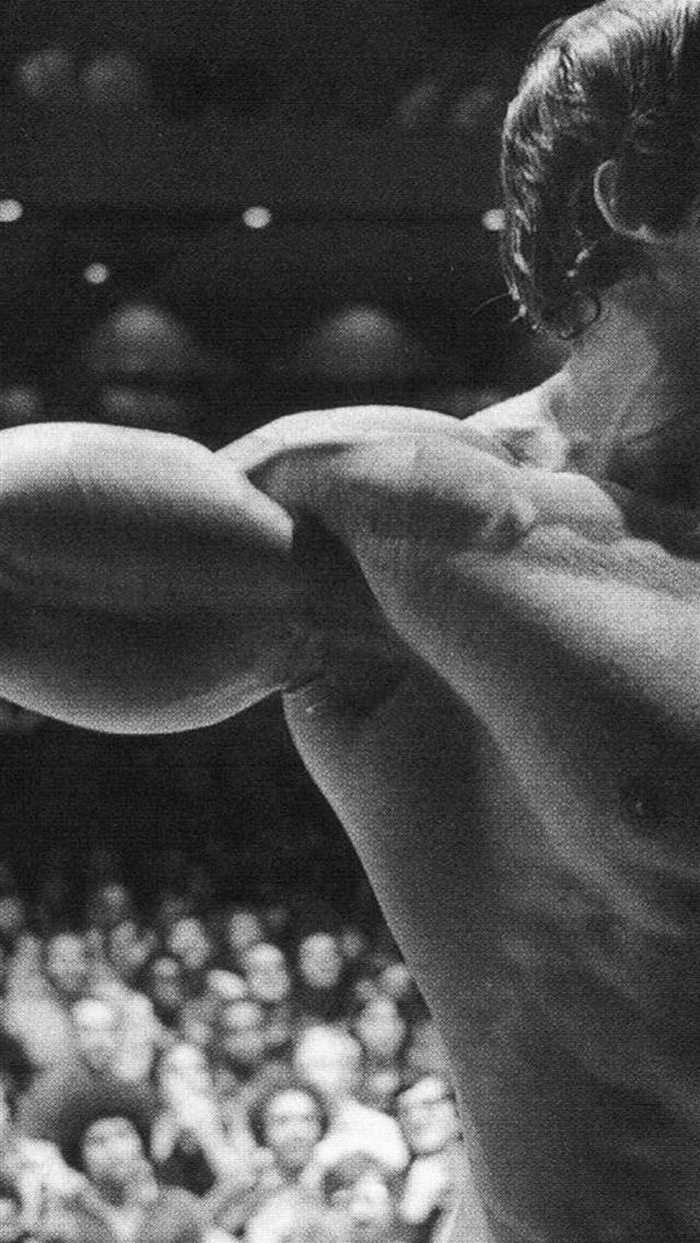640x1136 arnold schwarzenegger -  iPhone Wallpaper